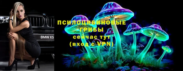 PSILOCYBIN Балабаново